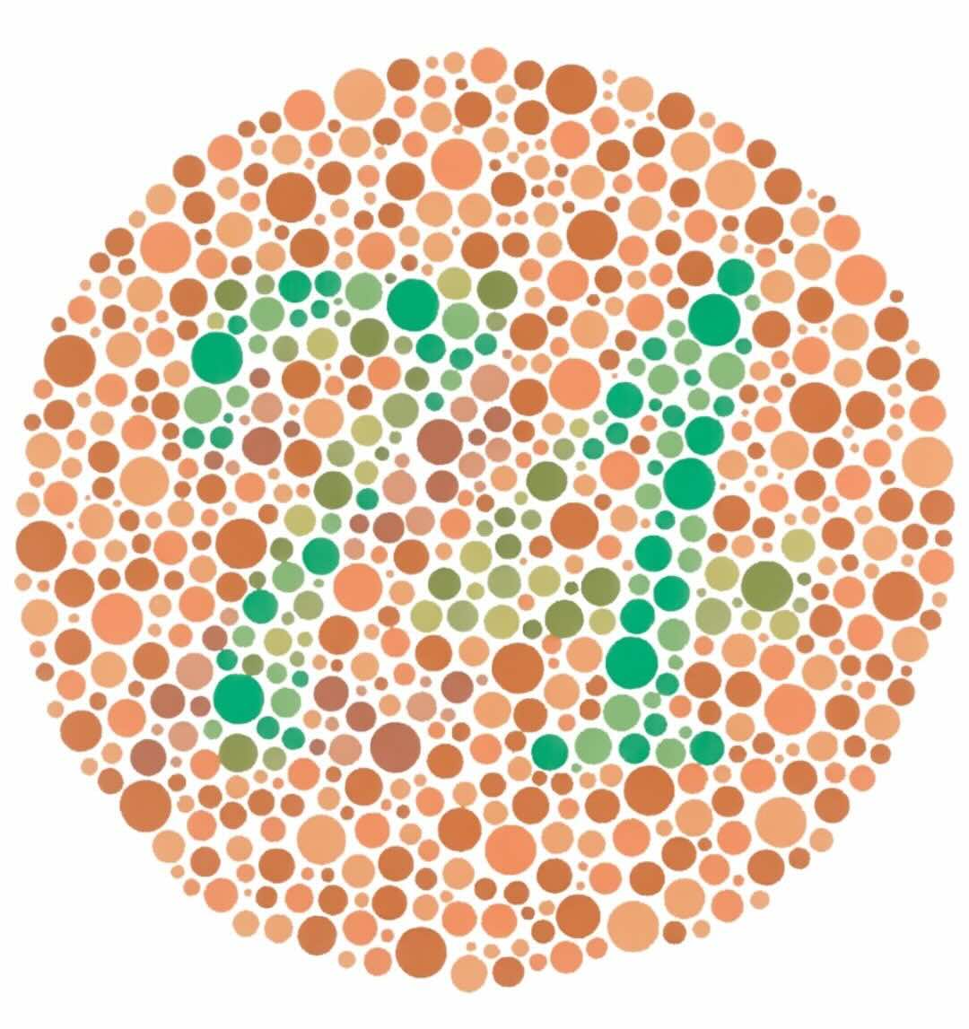 Ishihara-Farbtafel aerztliches Attest Sportbootführerschein